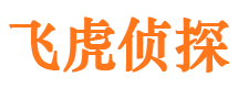 黄岛市私人侦探